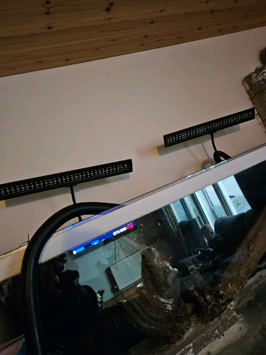 Large fish tank - Image 4