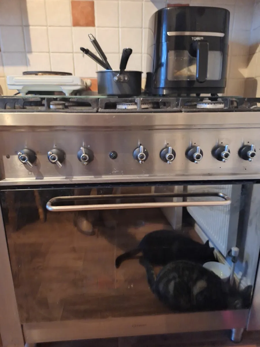 Cooker - Image 1