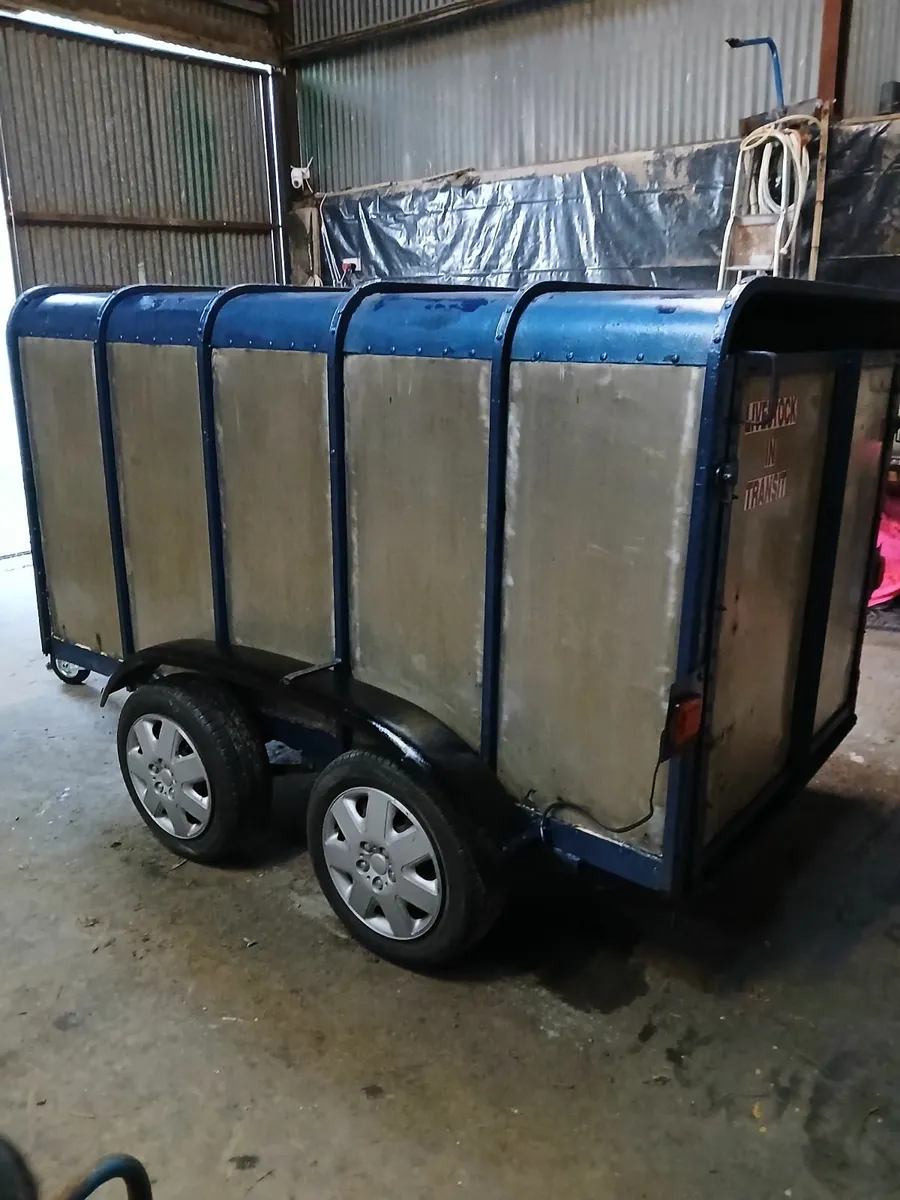 Sheep trailer 8ft x 4ft - Image 1