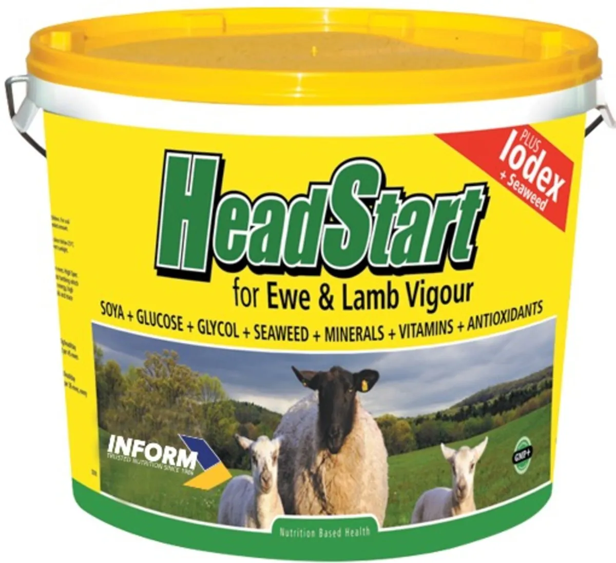 Head Start For Ewe & Lamb Vigor
