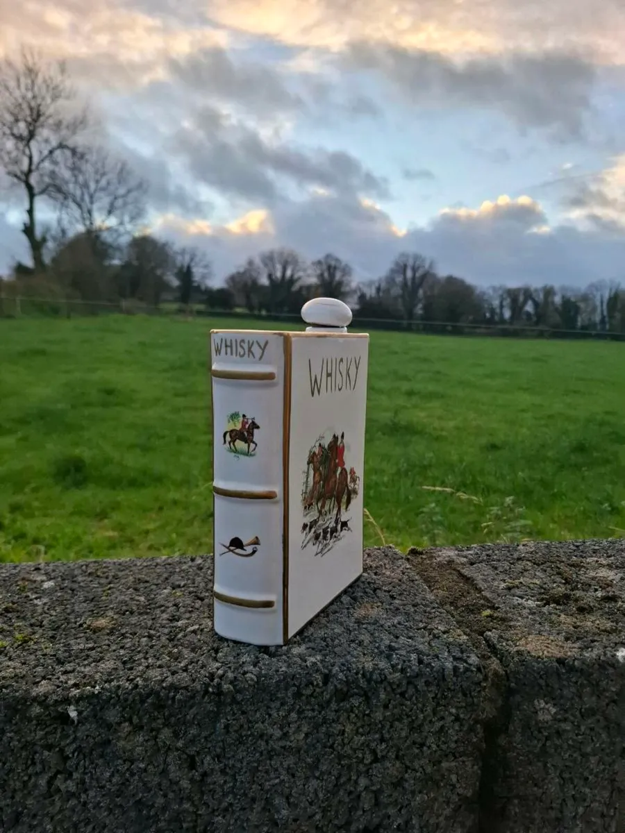 Whiskey bottle book - Image 3