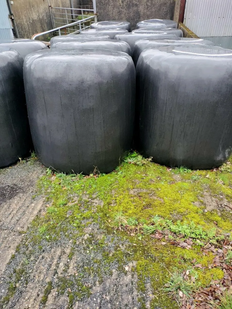 Haylage for sale - Image 1