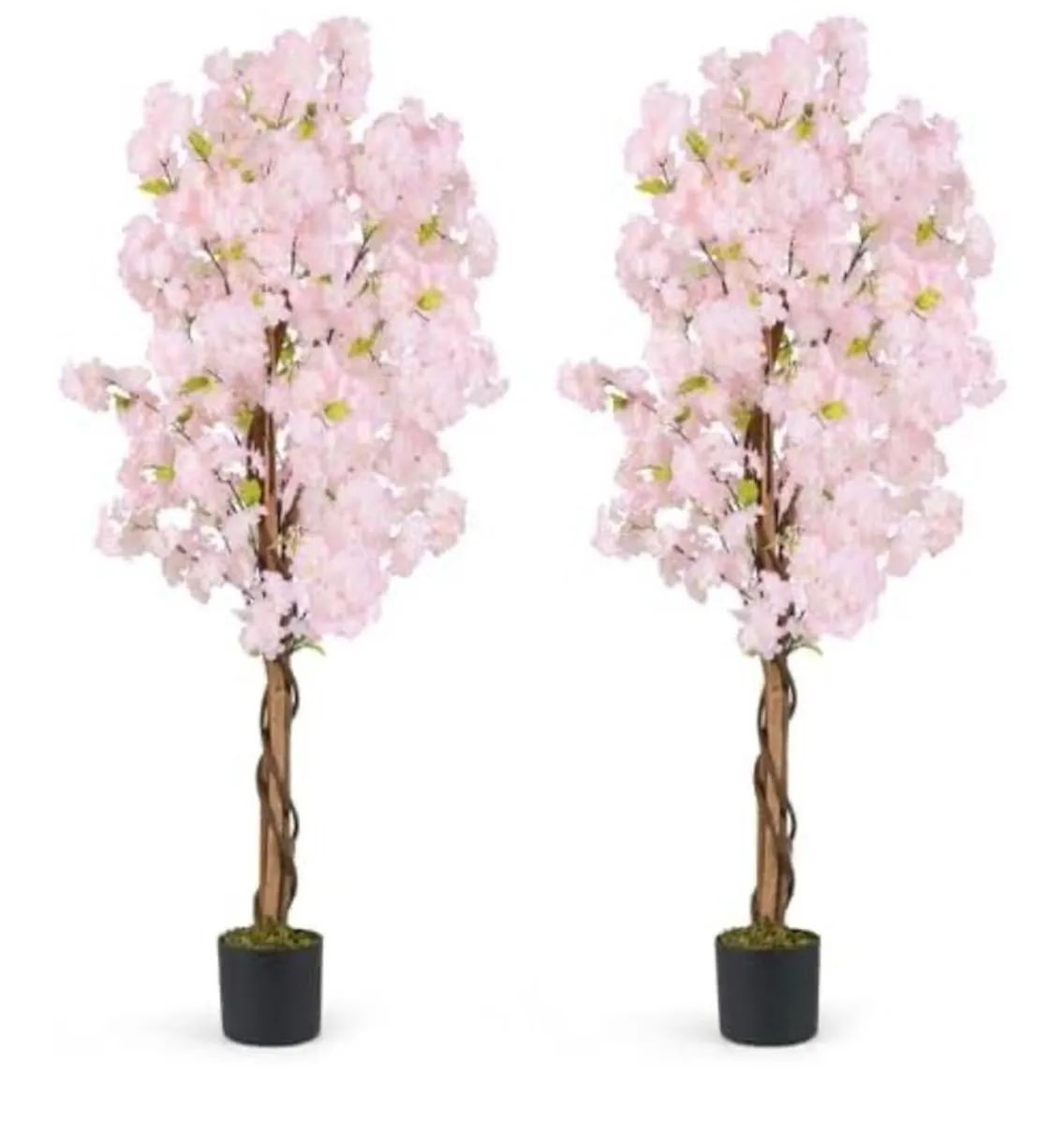 cherry blossom tree - Image 2