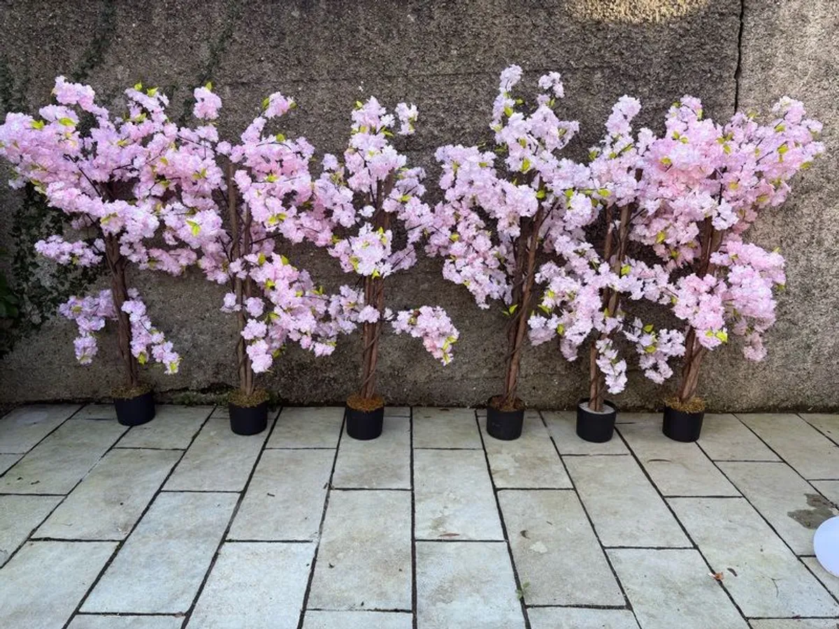 cherry blossom tree - Image 3