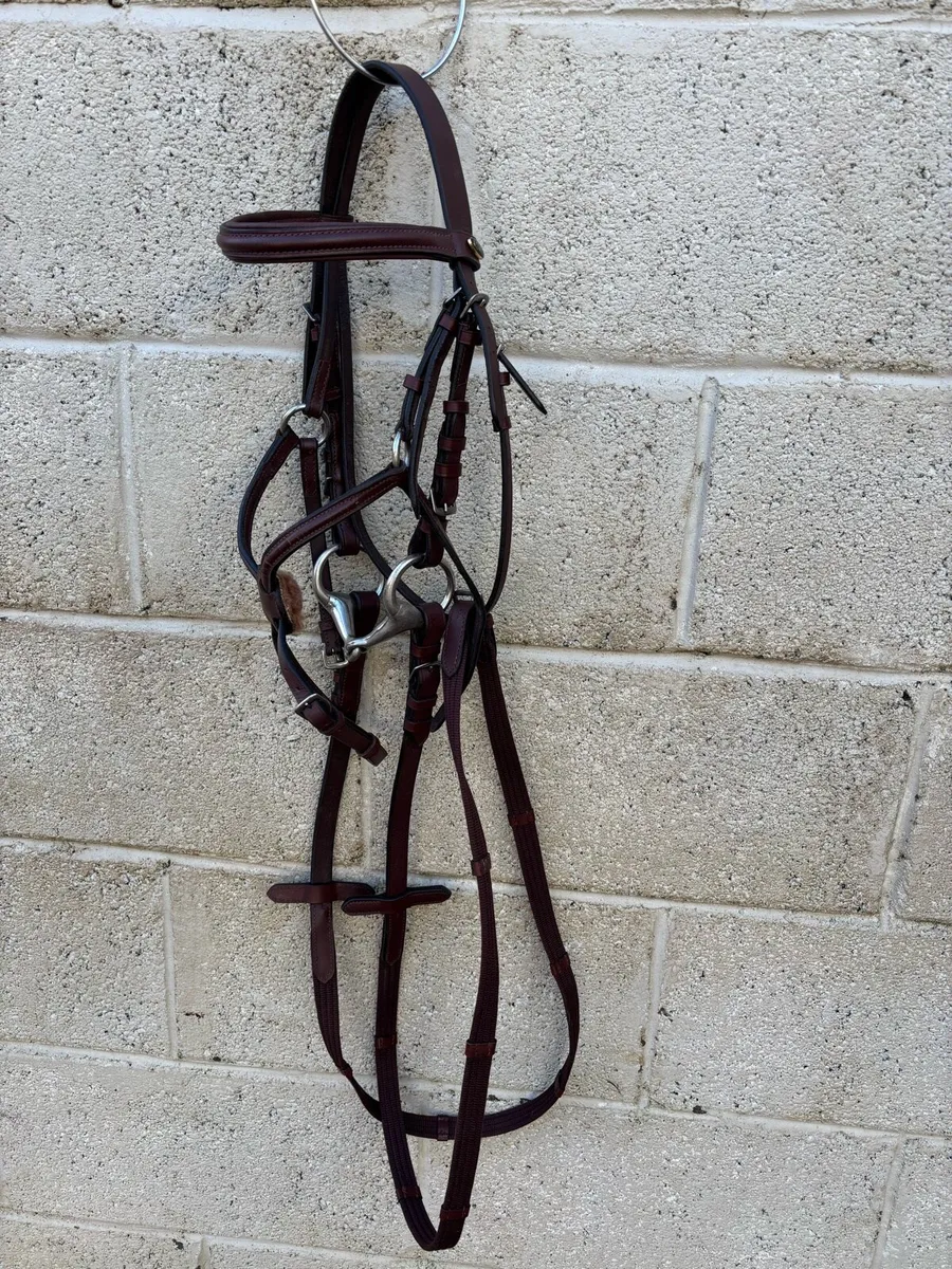 BRAND NEW SMALL PONY BRIDLE - Image 1