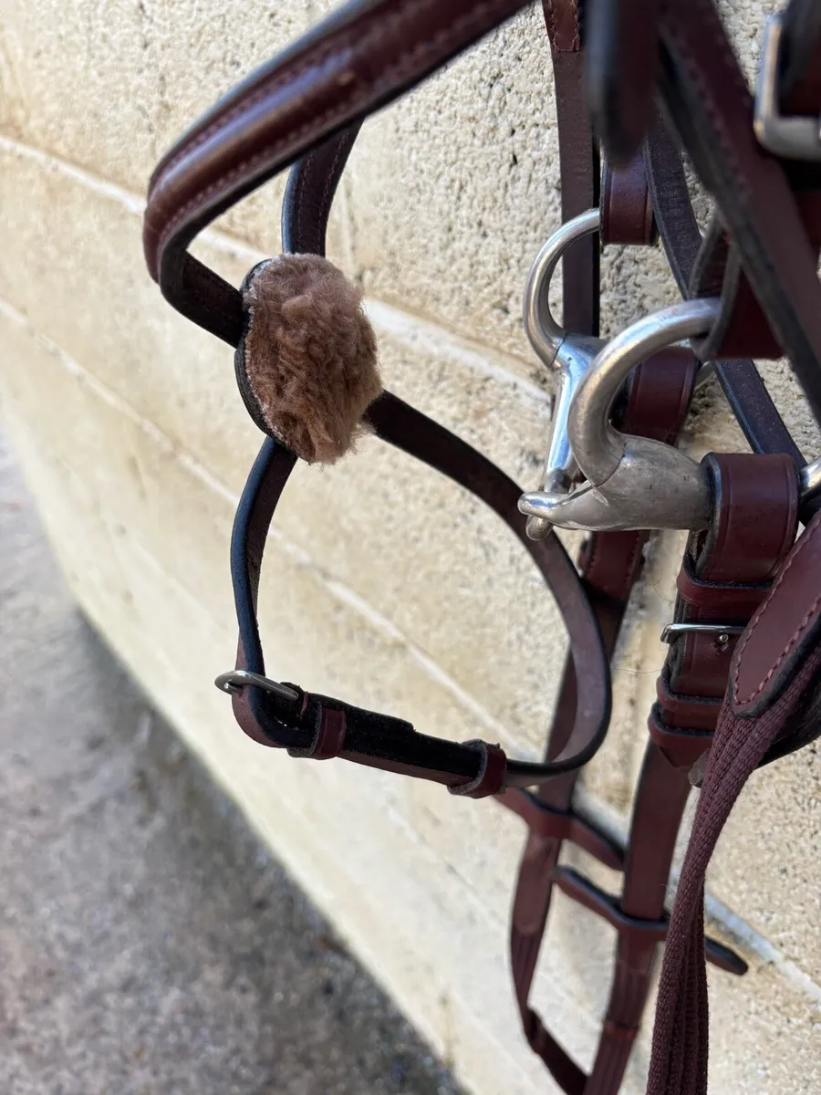 BRAND NEW SMALL PONY BRIDLE - Image 4