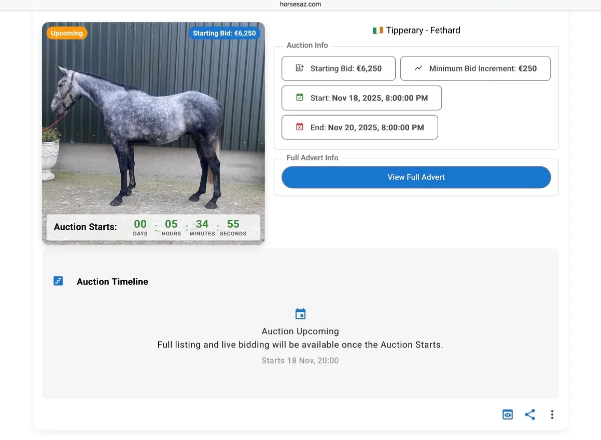 🔥 Weekly Online Horse Auctions — 3 LIVE @ 8PM - Image 1