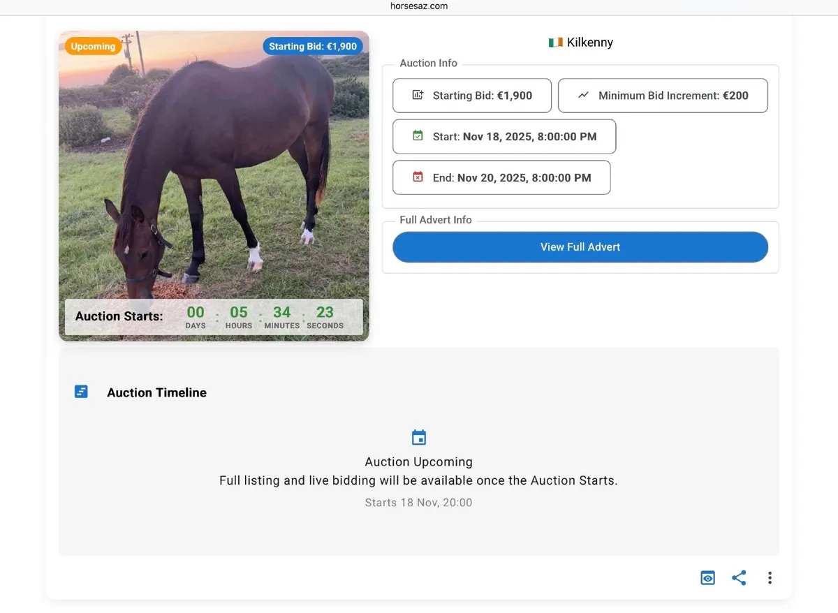 🔥 Weekly Online Horse Auctions — 3 LIVE @ 8PM - Image 2