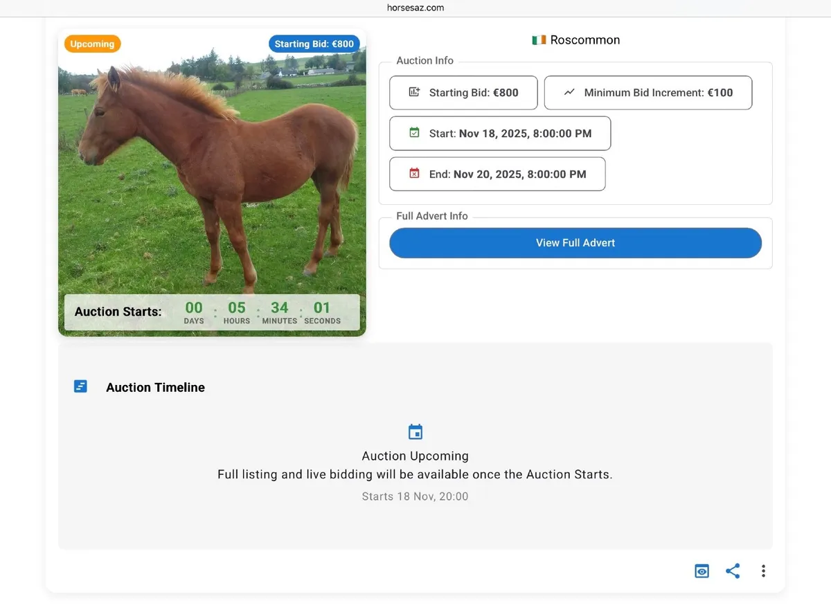 🔥 Weekly Online Horse Auctions — 3 LIVE @ 8PM - Image 3