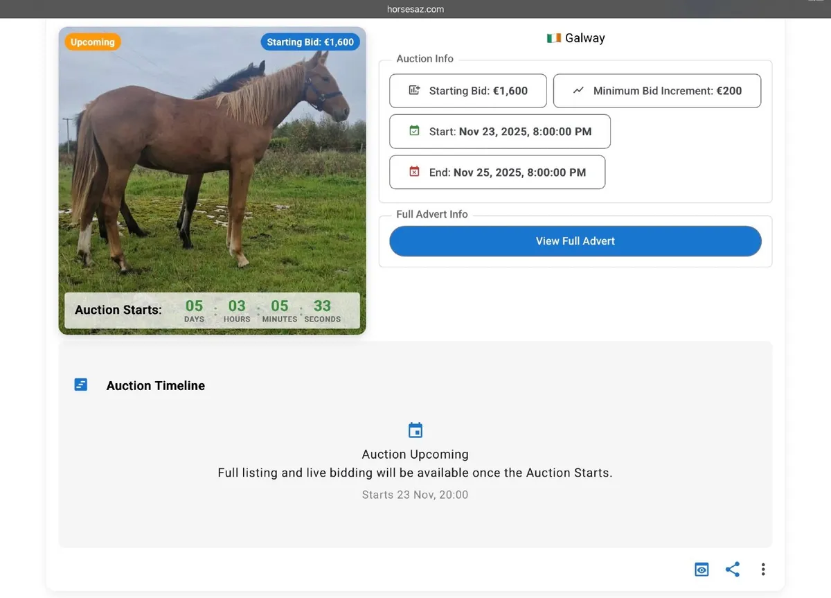 🔥 Weekly Online Horse Auctions — 3 LIVE @ 8PM - Image 4