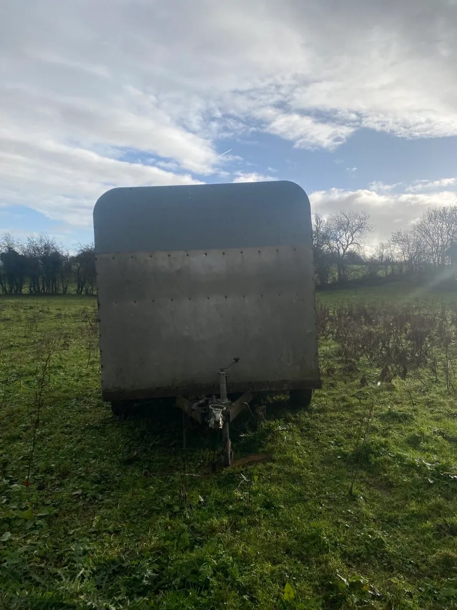 Cattle Trailer 12x6 - Image 2