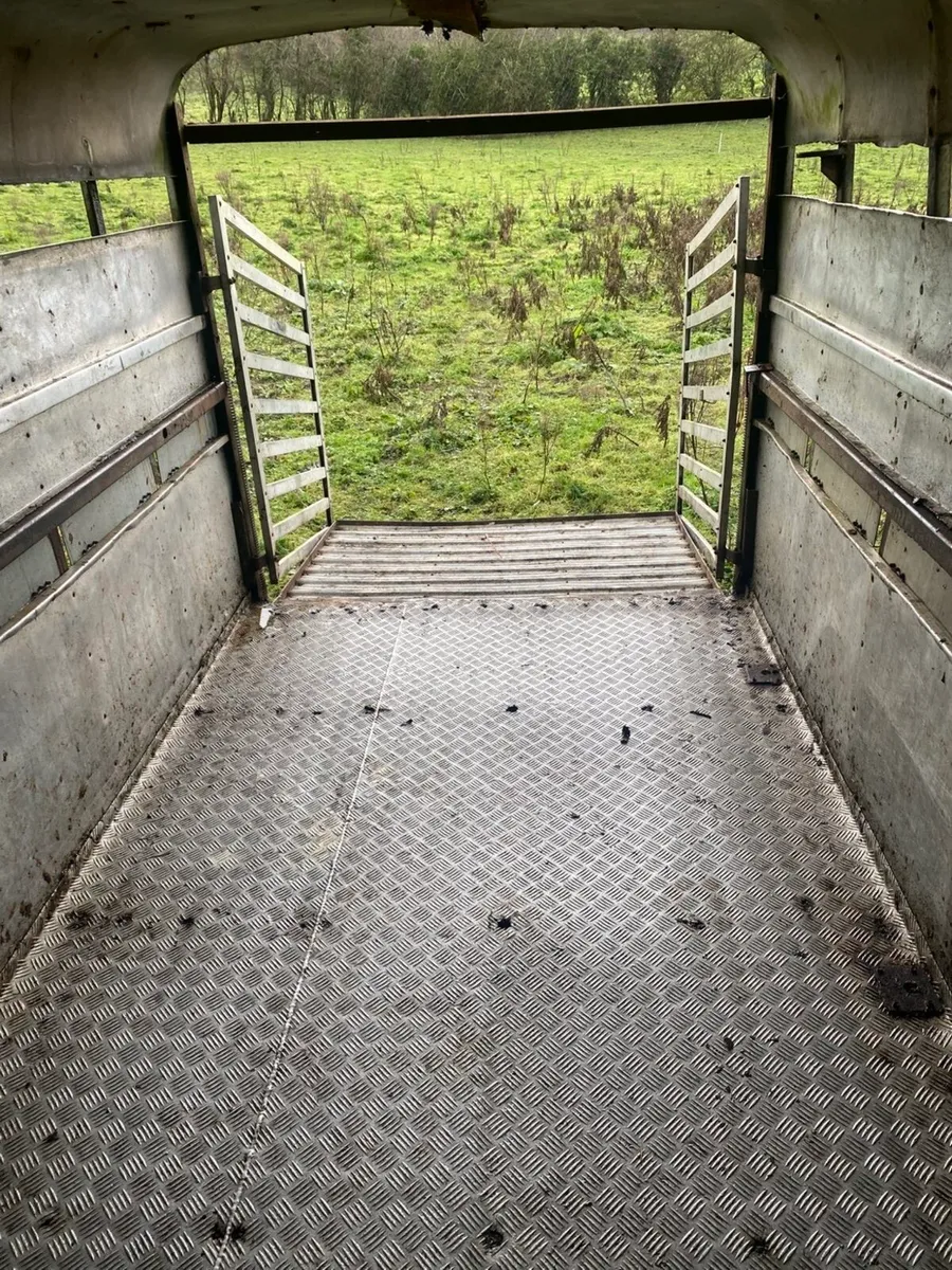 Cattle Trailer 12x6 - Image 4