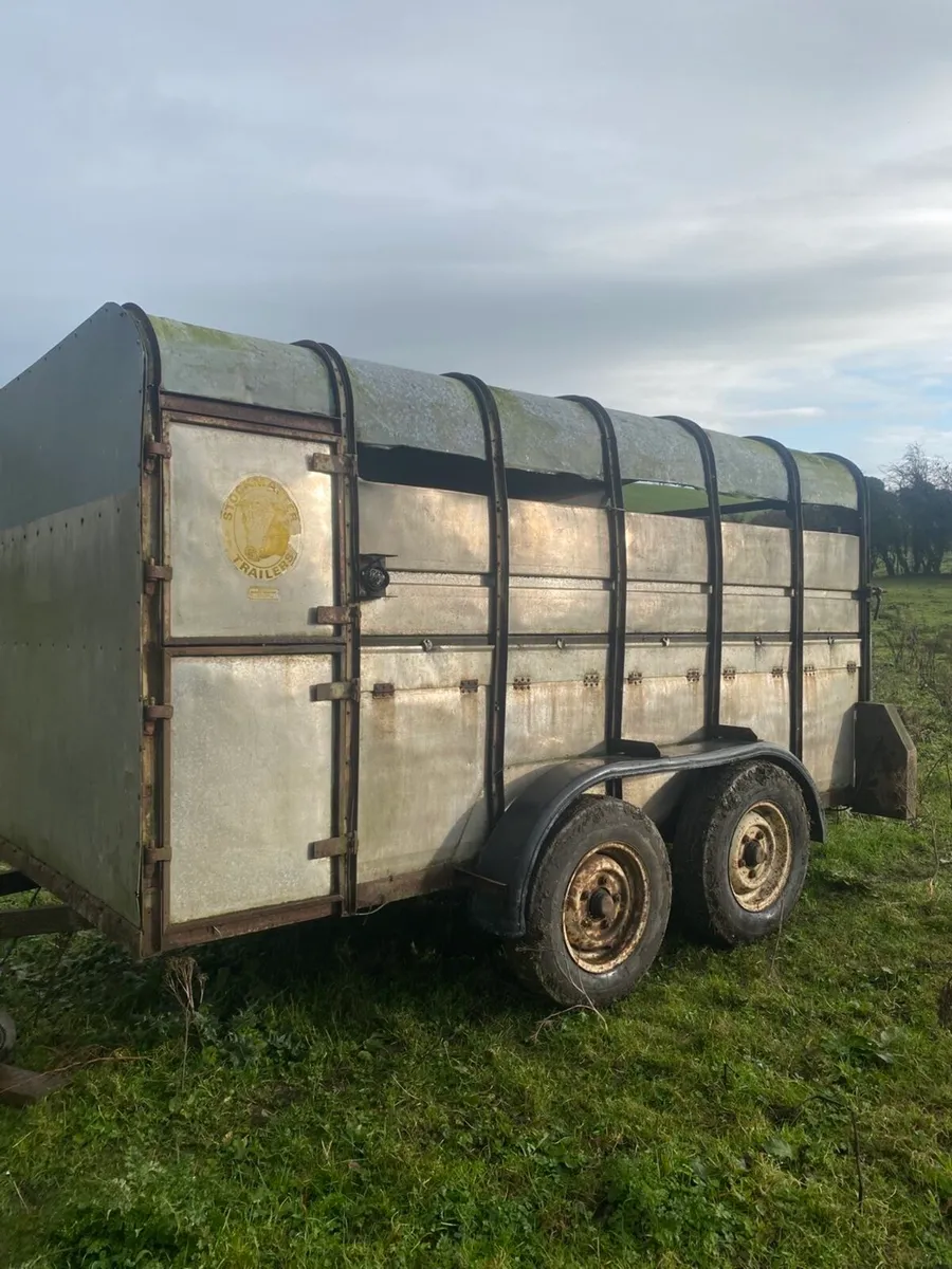 Cattle Trailer 12x6 - Image 1