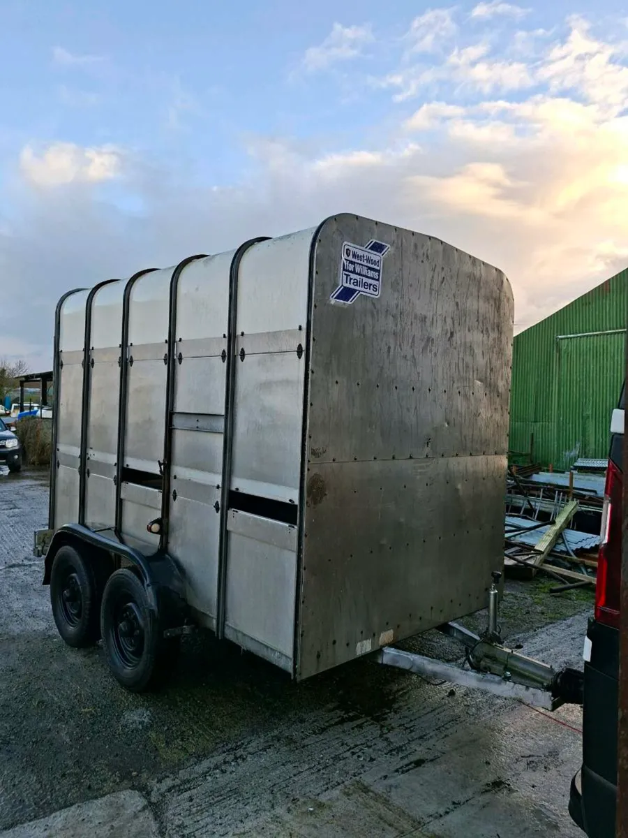 Ifor Williams 10x6 high roof cattle trailer - Image 1