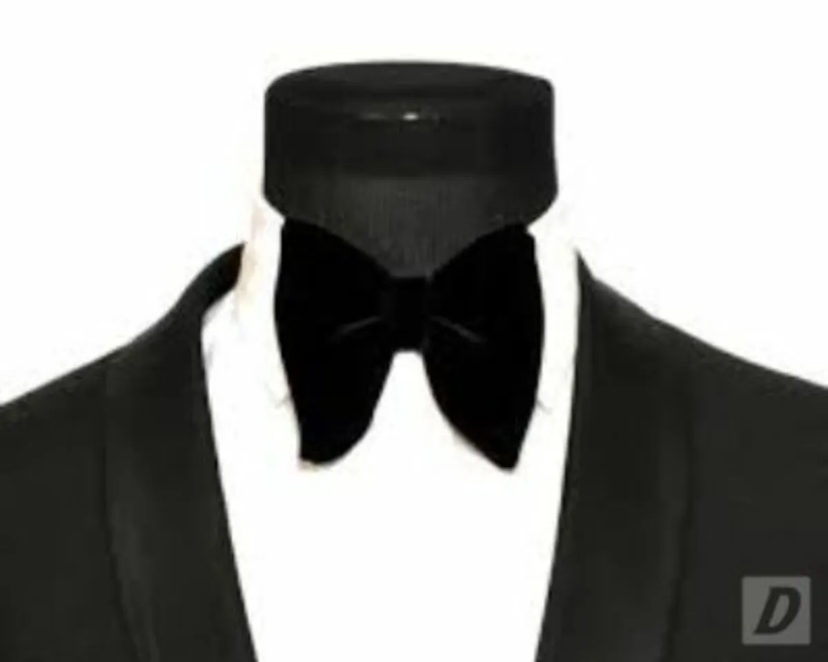 Antique Black Vintage Bowler Hat + Velvet Bow Tie - Image 2