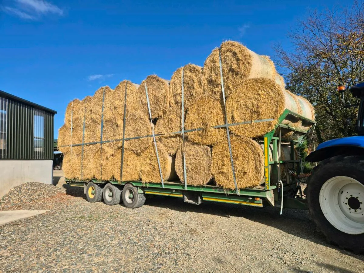 Straw for sale.   Small squares and McHale 4x4 - Image 1