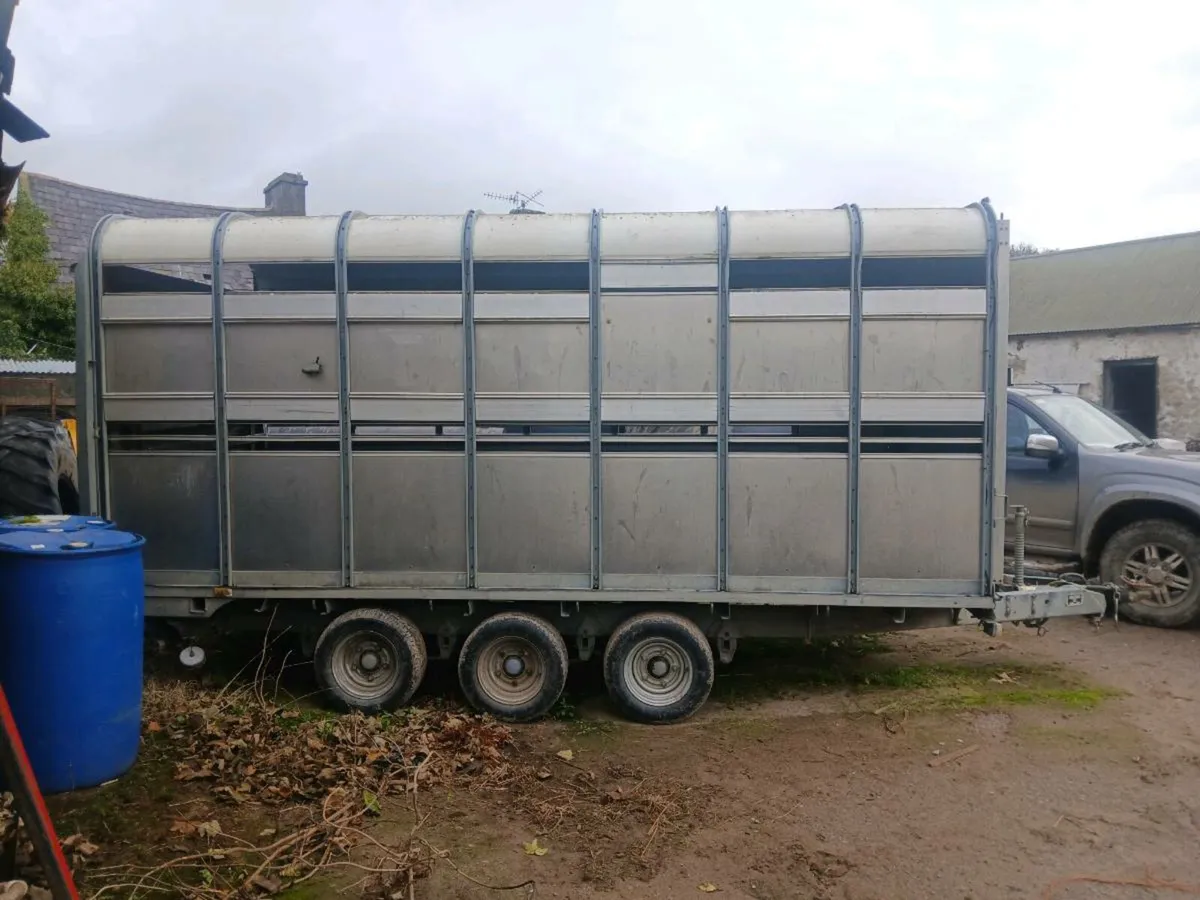 IFOR WILLIAMS CATTLE  TRAILER - Image 1