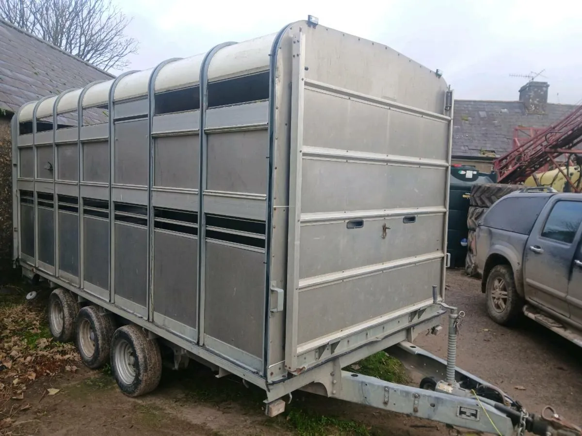 IFOR WILLIAMS CATTLE  TRAILER - Image 2