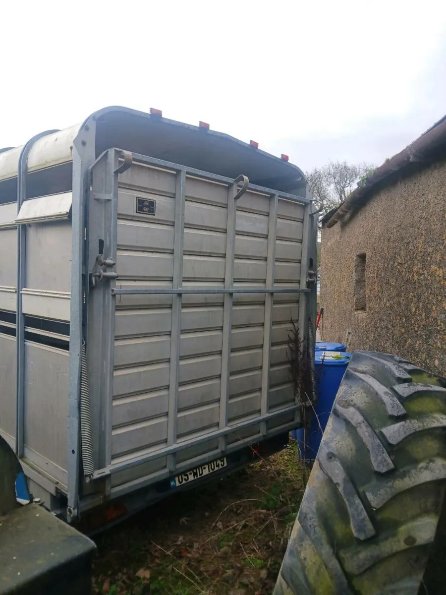 IFOR WILLIAMS CATTLE  TRAILER - Image 3