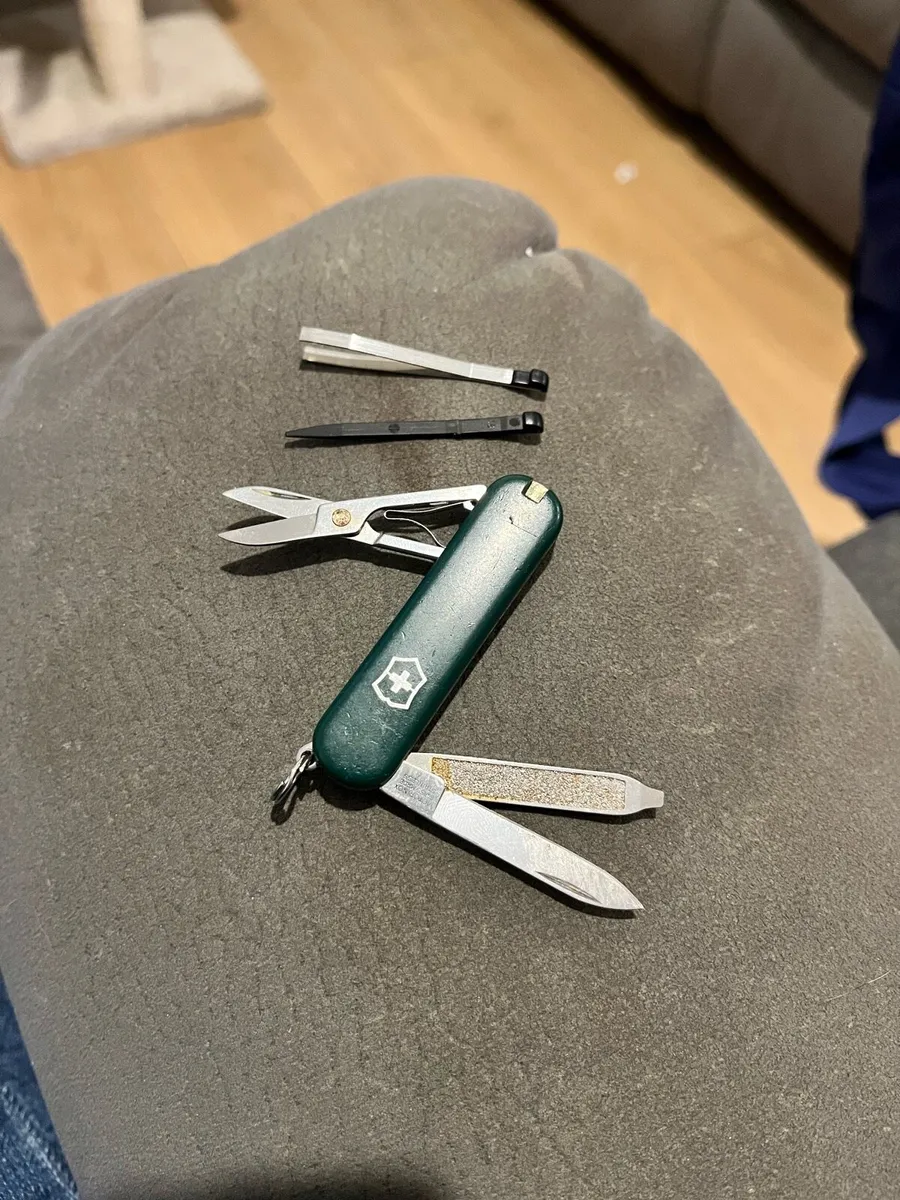 Victorinox Classic SD - Image 1