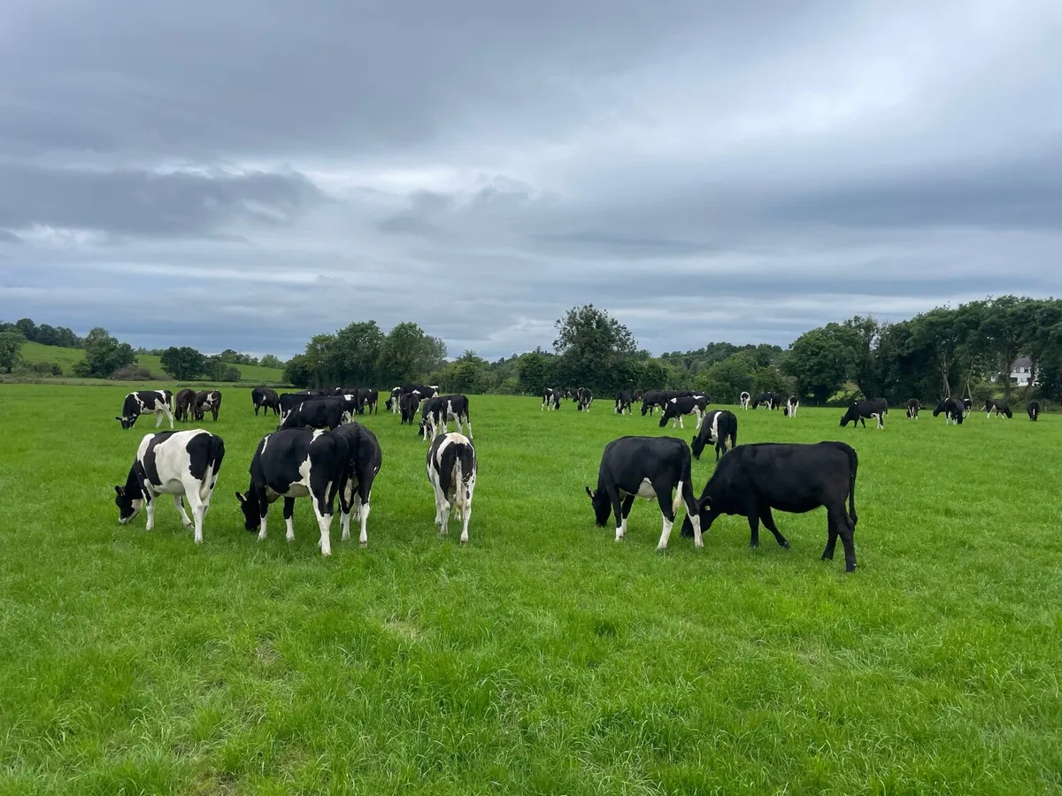 Contract Rearer -2026 season - Image 2