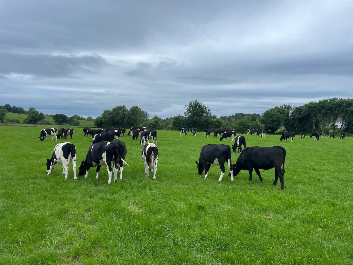 Contract Rearer -2026 season - Image 3