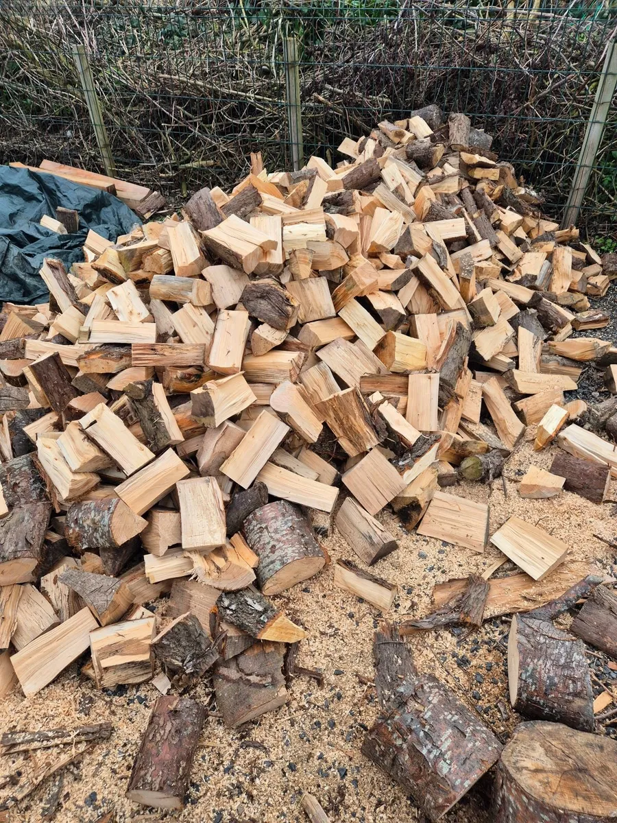 Firewood for home heating - Image 2