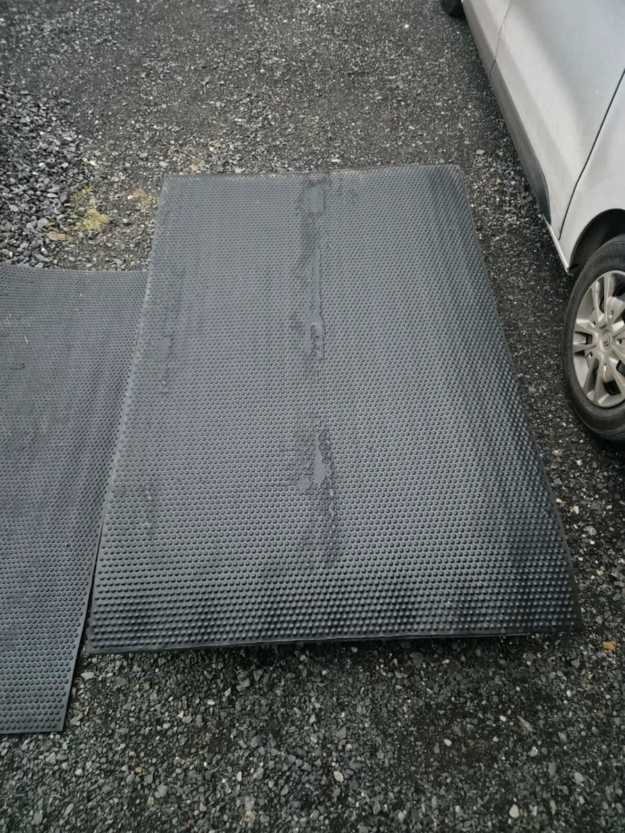 12mm Rubber Flooring - Image 2