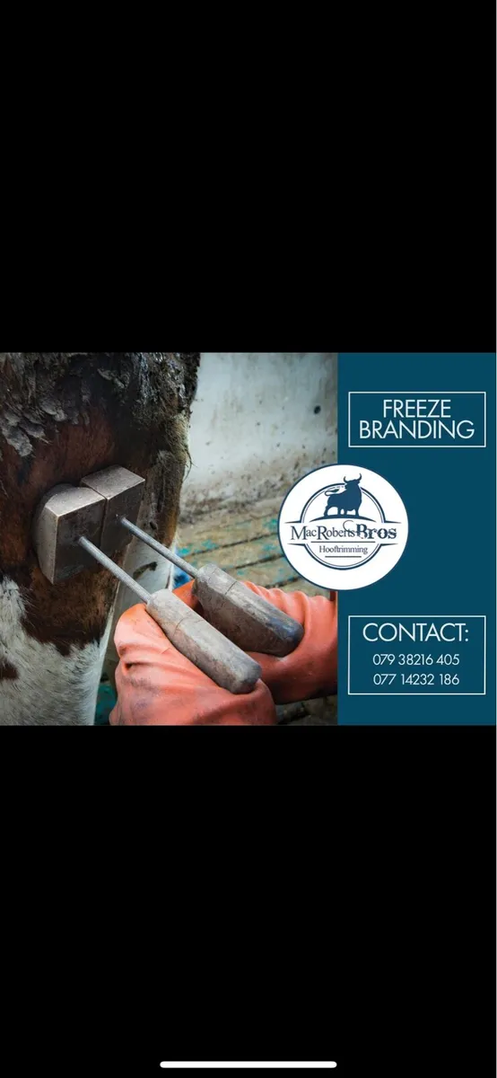 Freeze branding - Image 1