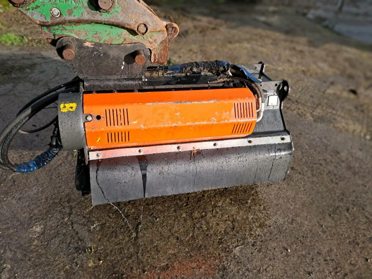 2025 Cangini TC3 - Image 3