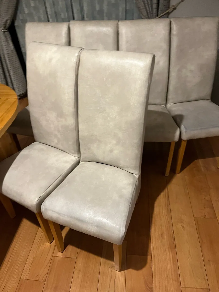 6 dining chairs - Image 1