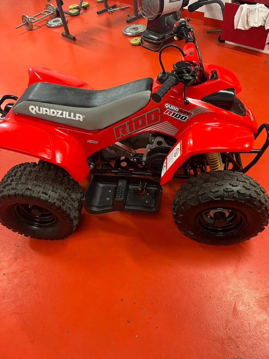 Quadzilla r100 - Image 2