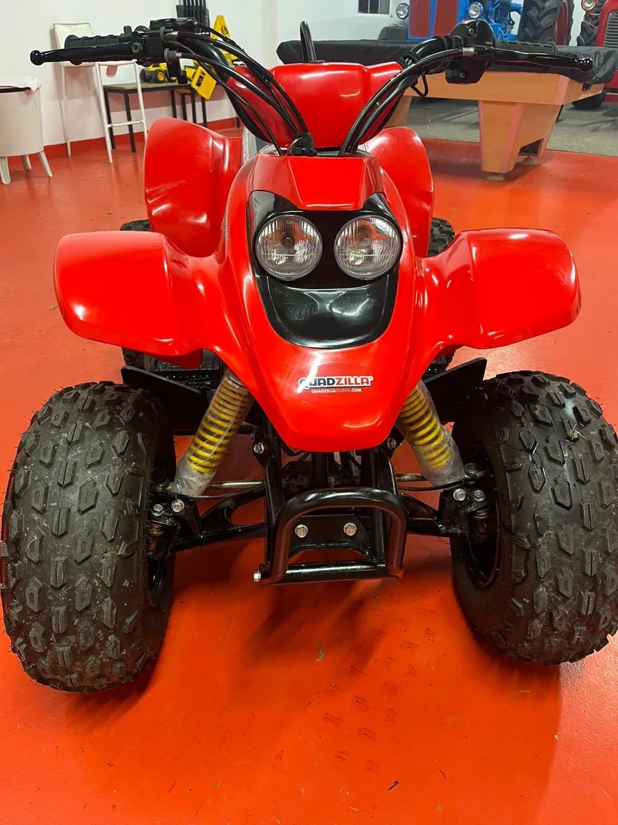 Quadzilla r100 - Image 3