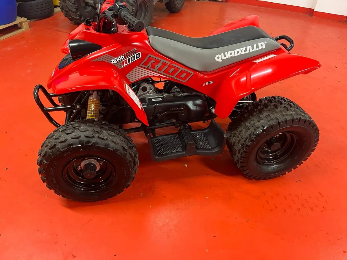 Quadzilla r100 - Image 4