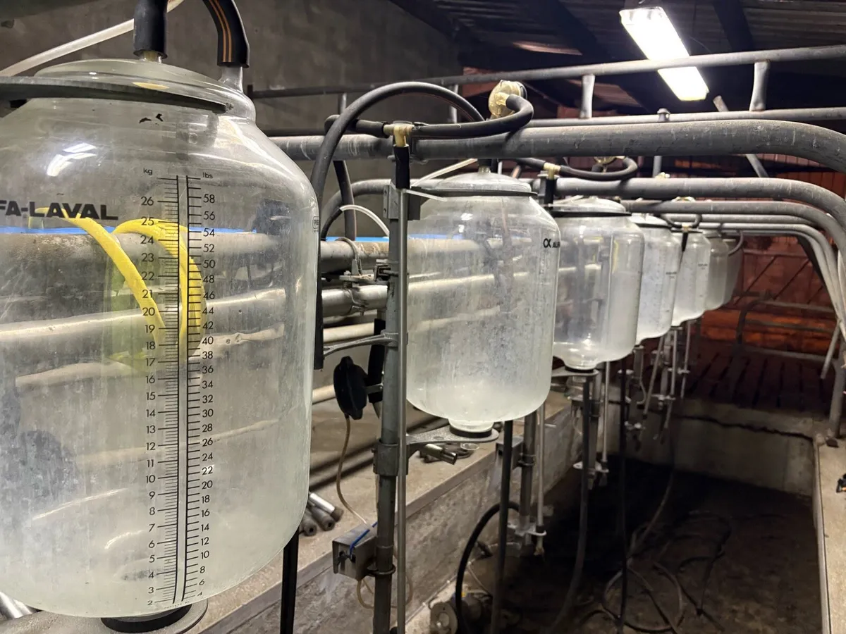 10 De Laval Milk Recording Jars. - Image 2