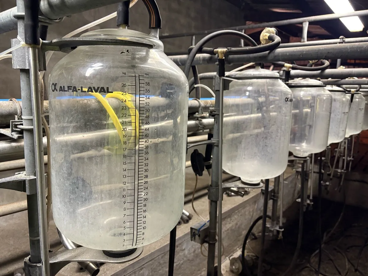 10 De Laval Milk Recording Jars. - Image 3
