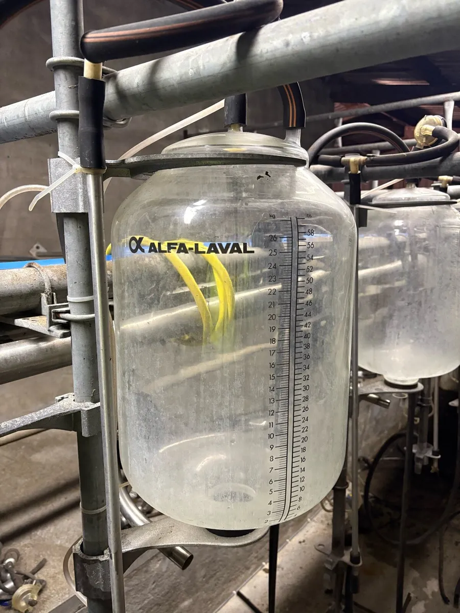 10 De Laval Milk Recording Jars. - Image 4