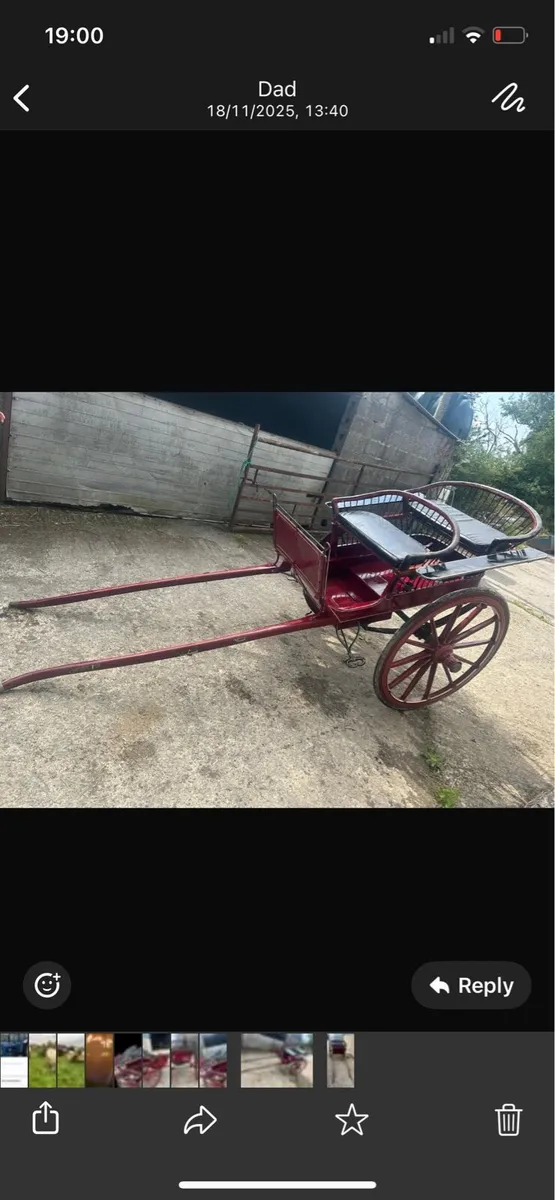 Horse cart - Image 1