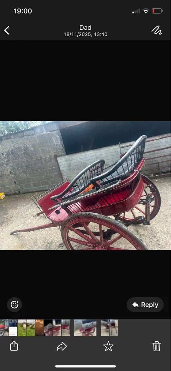 Horse cart - Image 2