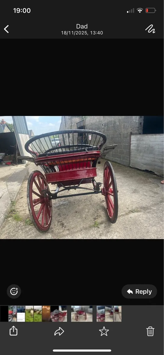 Horse cart - Image 3