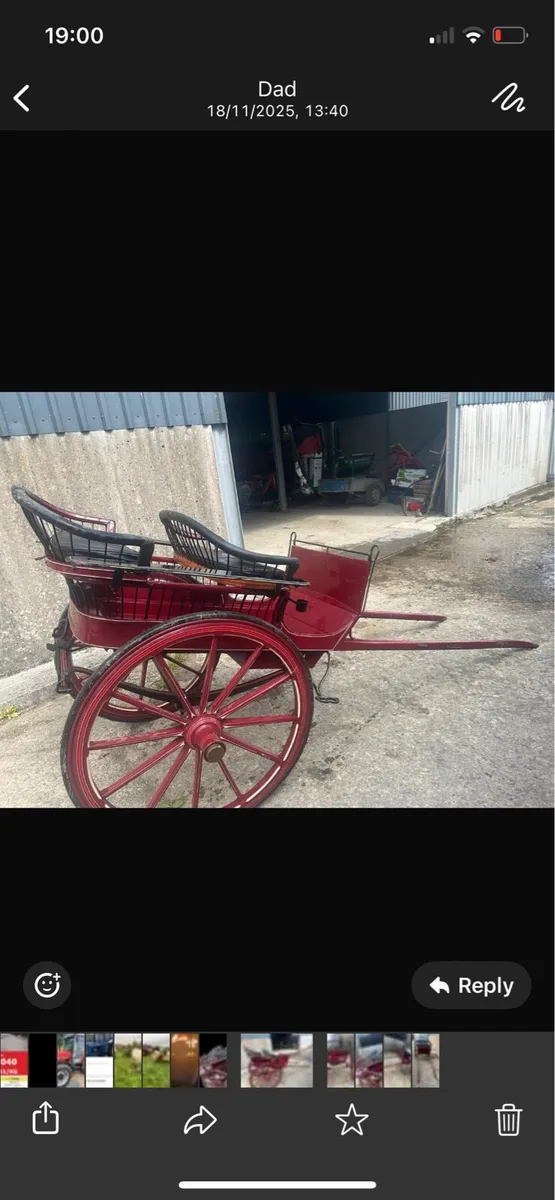 Horse cart - Image 4