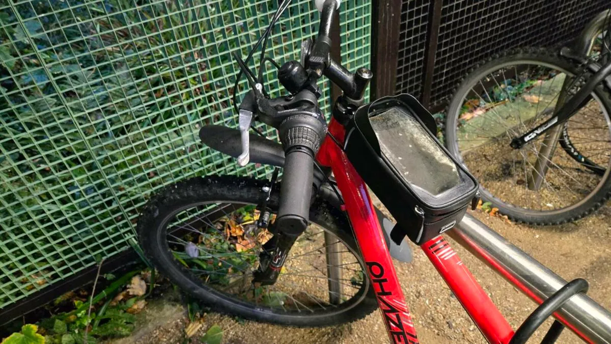 Mountain bike - Image 1