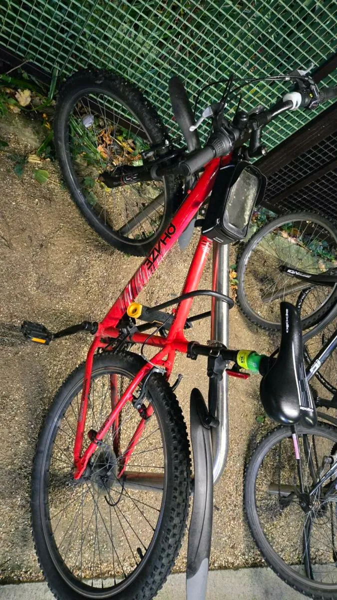 Mountain bike - Image 2