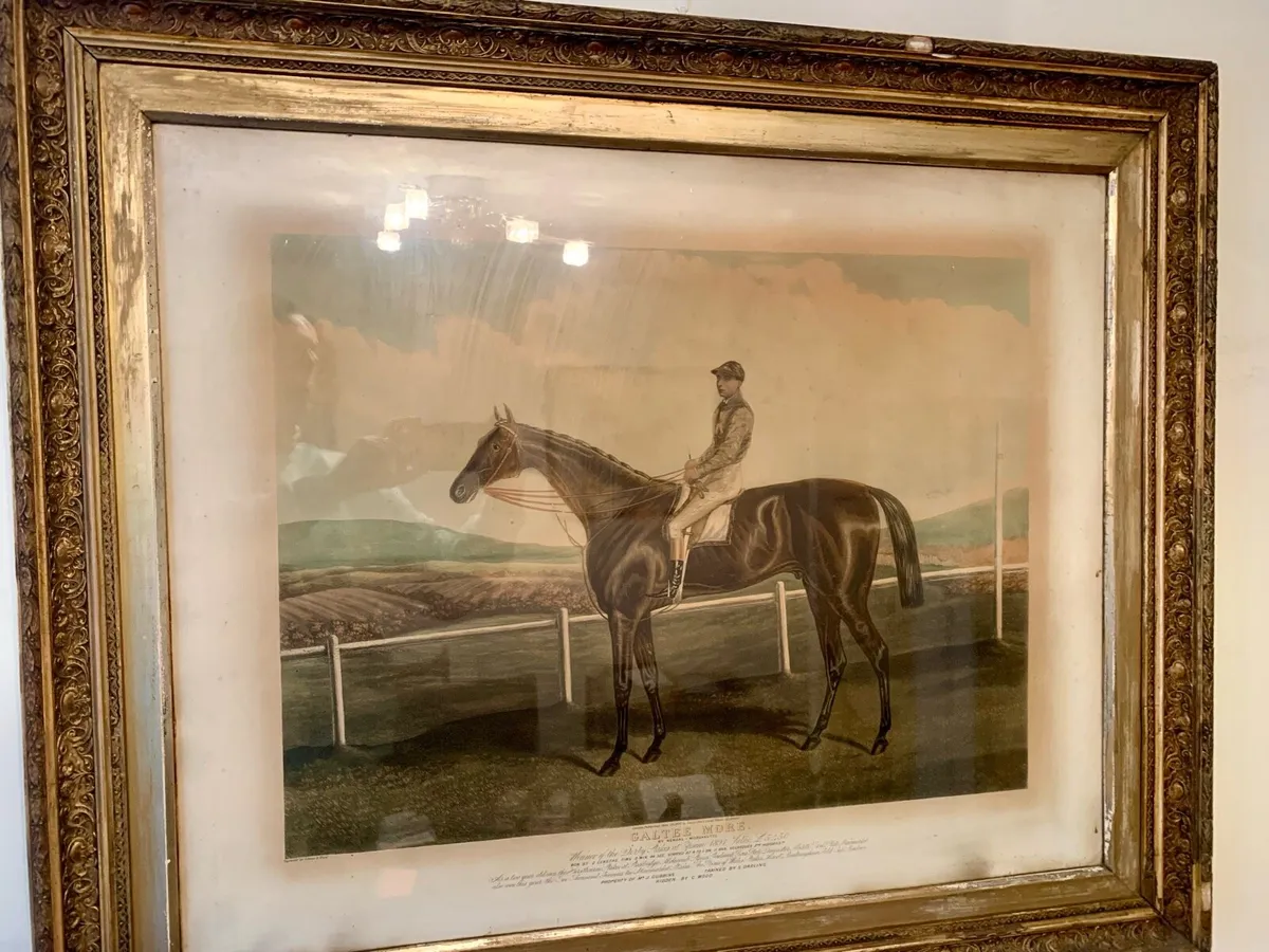 Framed print of Galtee More - Image 1