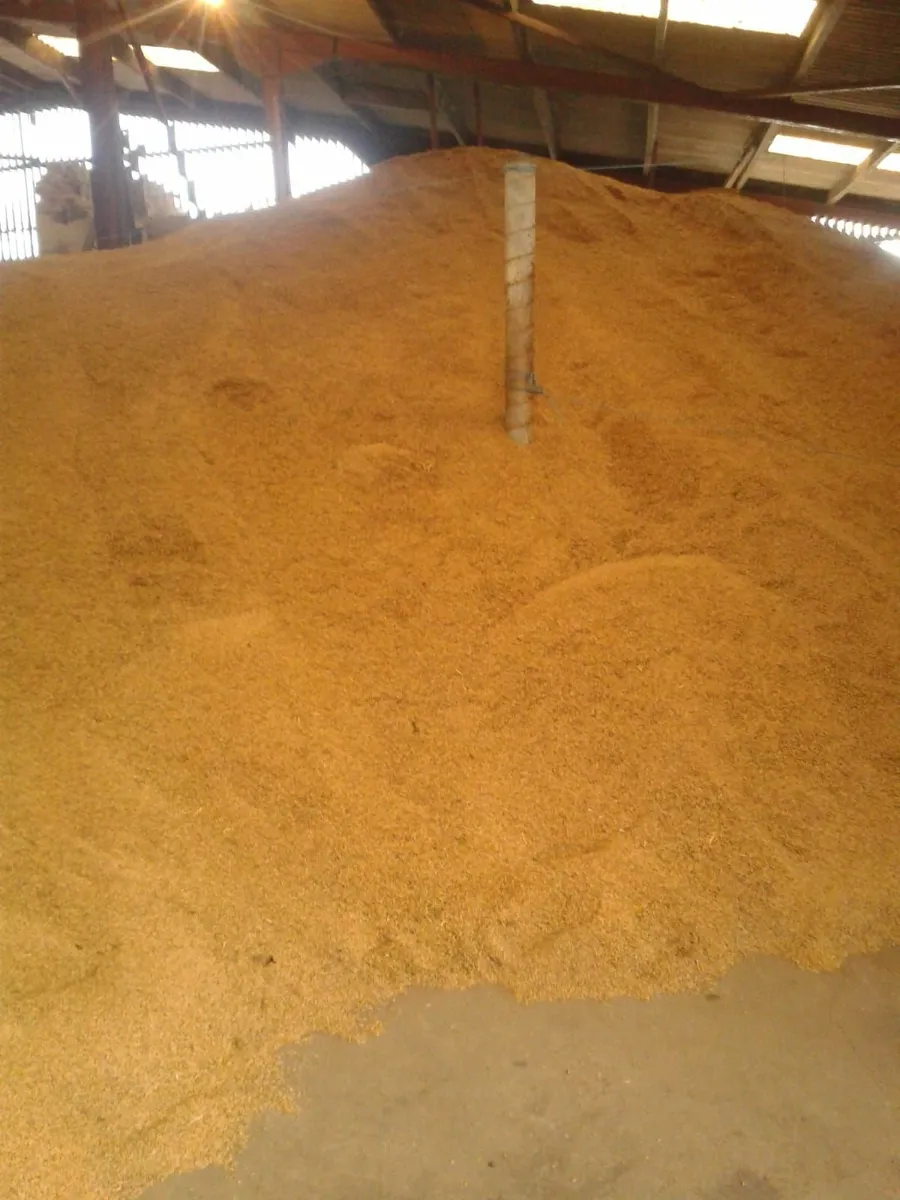 Oats, Rolled Barley and Wheat - Image 3