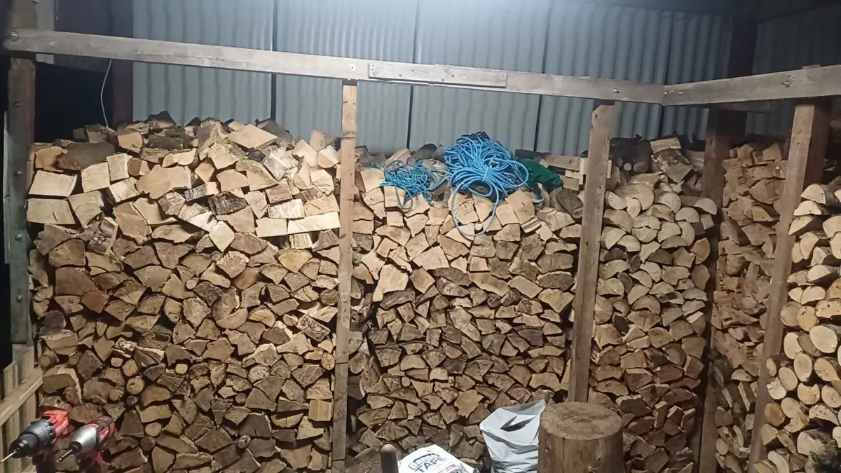 Firewood - Image 4