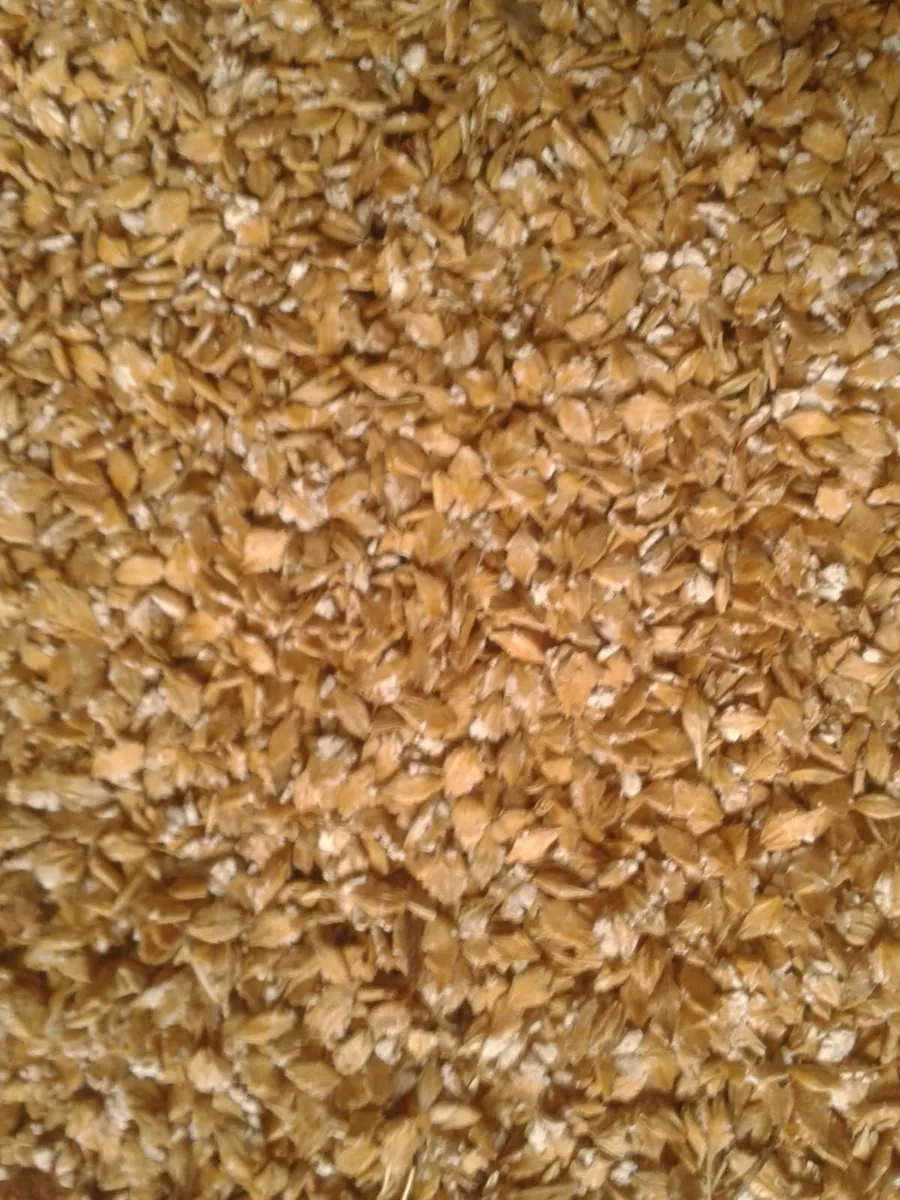 Oats, Rolled Barley and Wheat - Image 4
