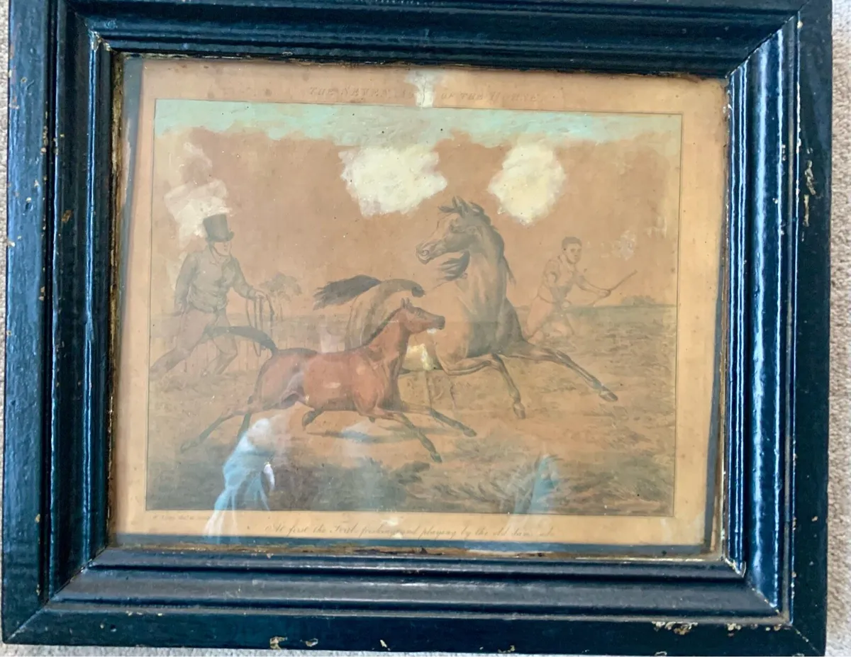 “The Seven Ages of the Horse" prints - Image 1