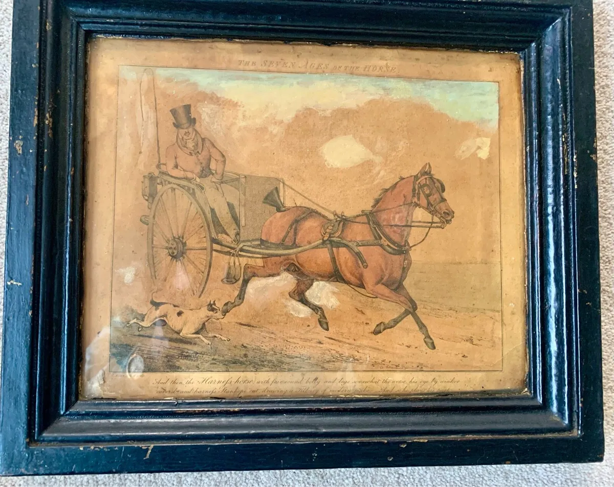 “The Seven Ages of the Horse" prints - Image 2