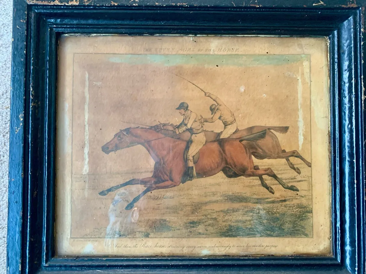 “The Seven Ages of the Horse" prints - Image 3